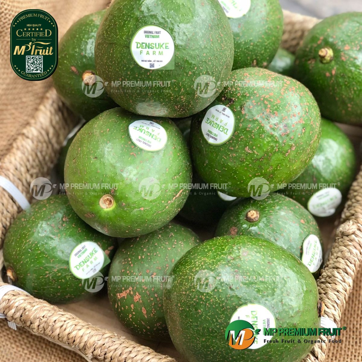 Bơ Booth | Densuke Farm tại MP Fruit