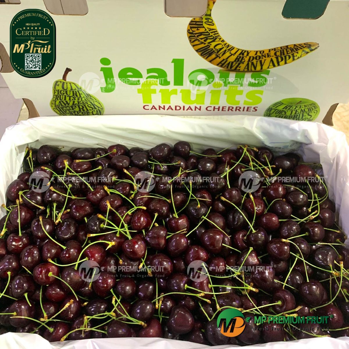 Cherry Đỏ Canada Size 9 tại MP Fruit
