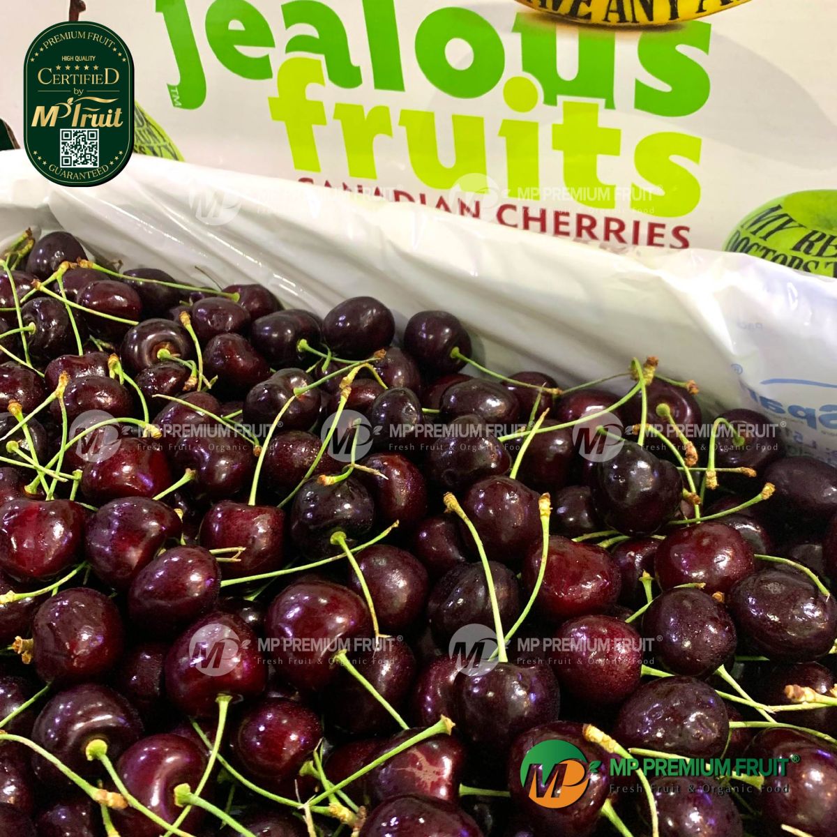 Cherry Đỏ Canada Size 9 tại MP Fruit