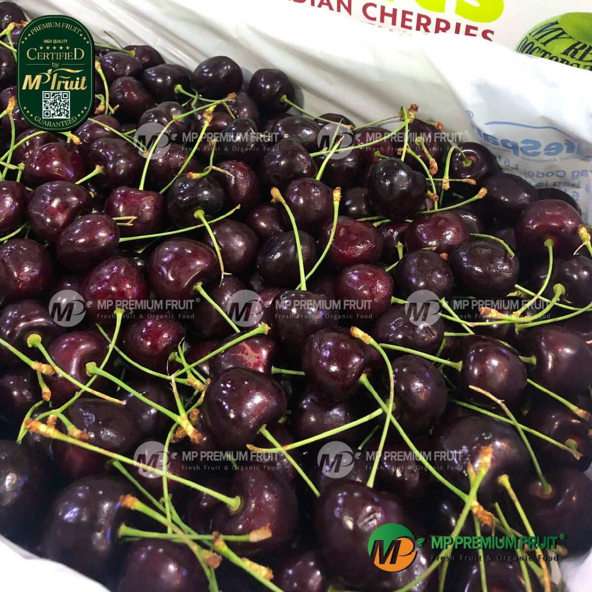 Cherry Đỏ Canada Size 9 tại MP Fruit