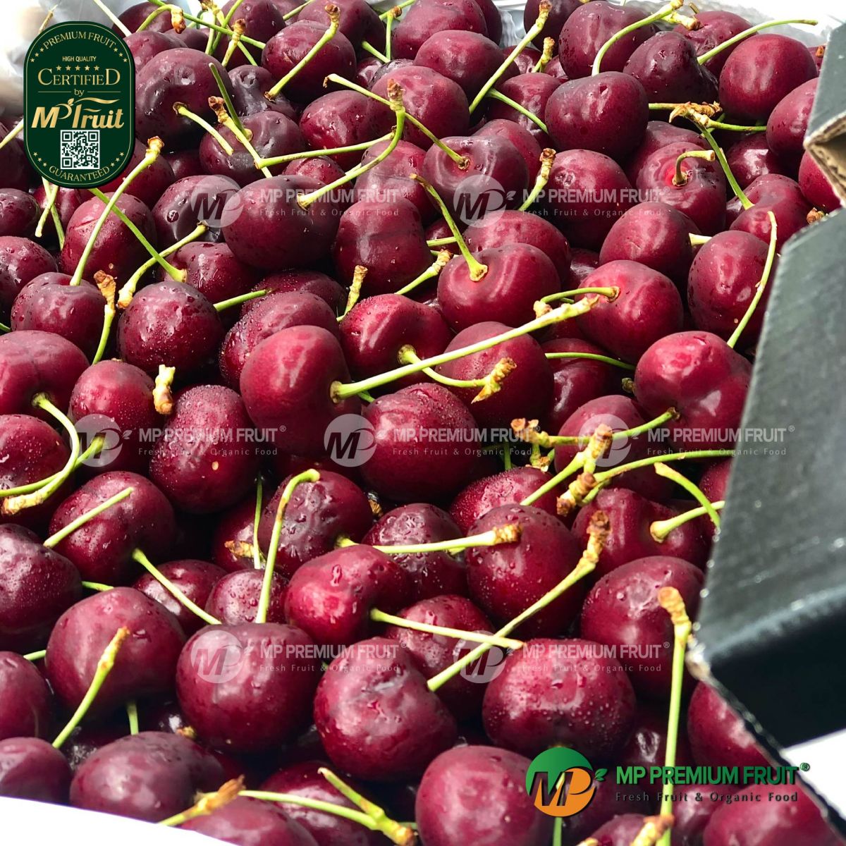 Cherry Đỏ Mỹ Size 8.5 tại MP Fruit
