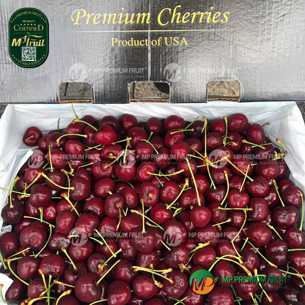 Cherry Đỏ Mỹ Size 8.5 tại MP Fruit