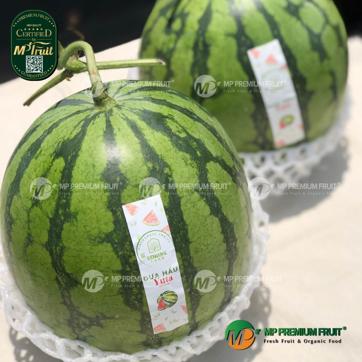 Dưa Hấu Không Hạt Yuta tại MP Fruit