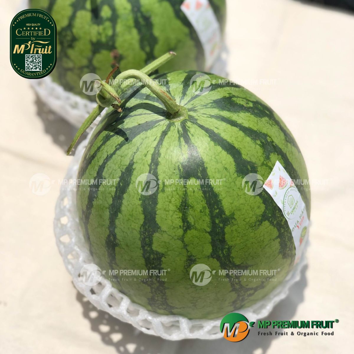 Dưa Hấu Không Hạt Yuta tại MP Fruit