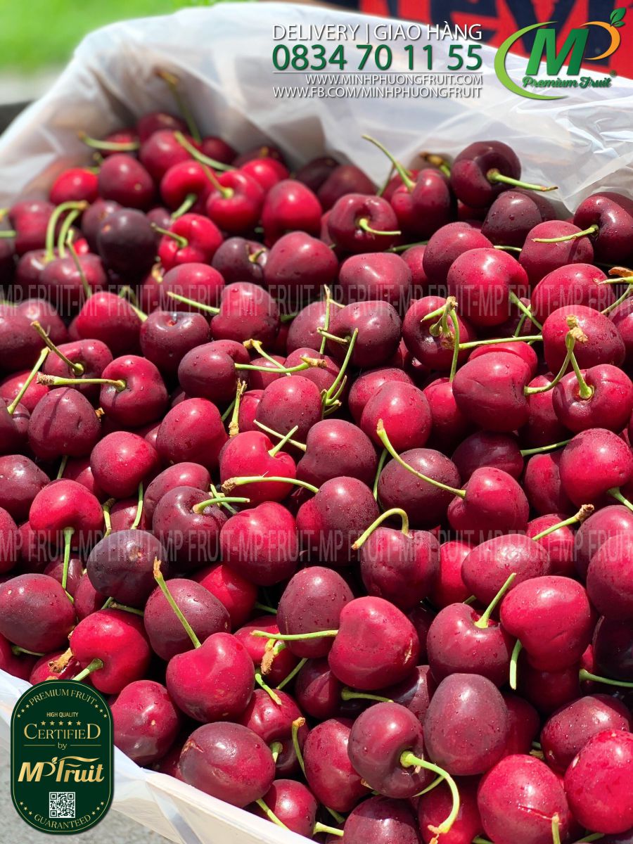 Cherry Đỏ Canada Size 9 tại MP Fruits