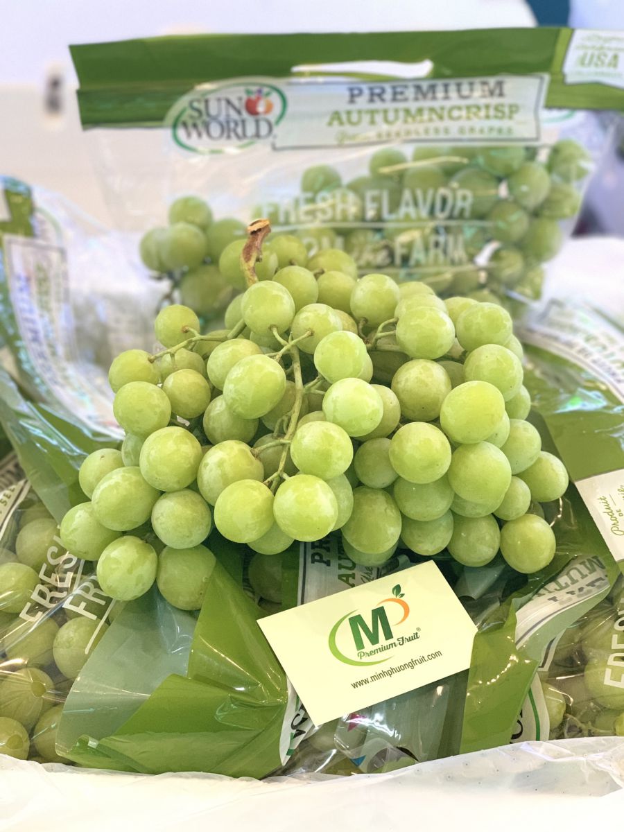 Nho Xanh AutumnCrisp® Sun World Mỹ tại MP Fruit
