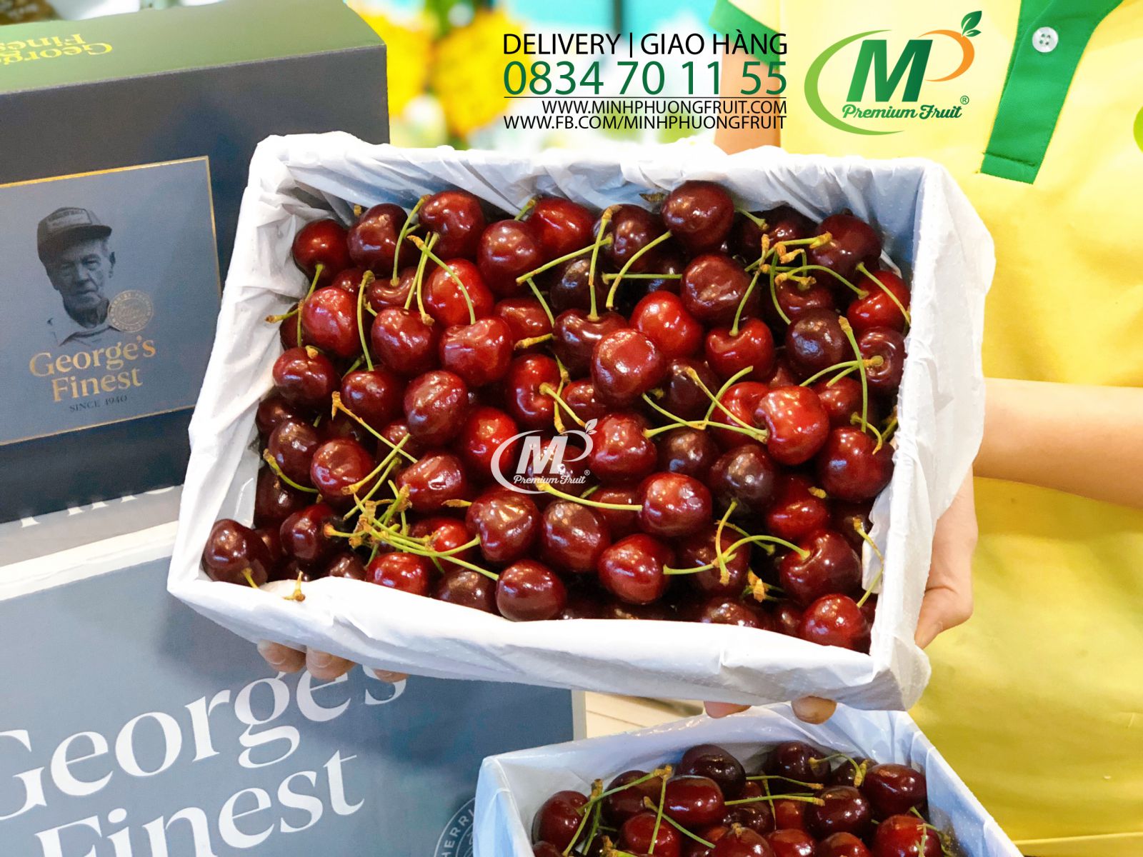 Cherry Đỏ Úc Size 30 - 32 tại MP Fruit