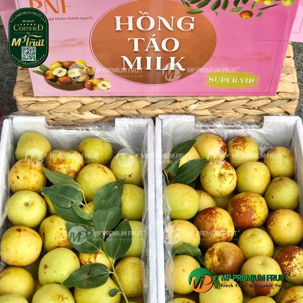 Quả Táo Tàu | Hộp 1,5kg tại MP Fruit