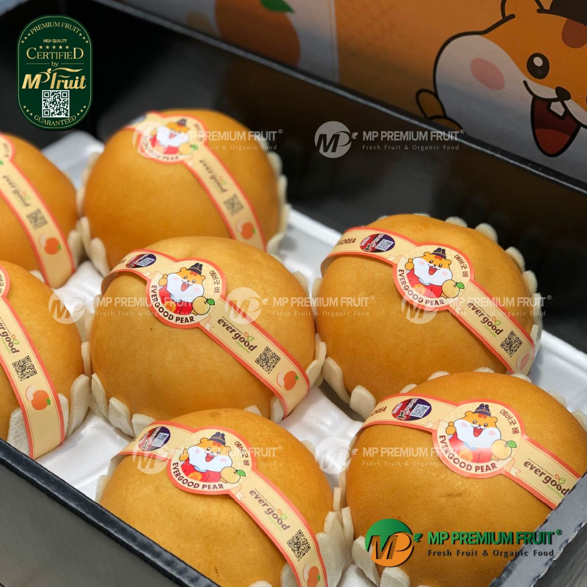 Lê Nâu Hàn Quốc | Evergood - Premium Gift Set 5kg tại MP Fruit