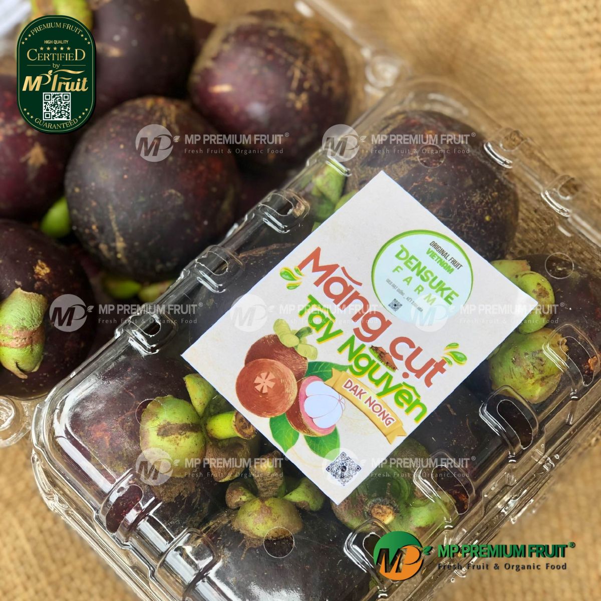 Măng Cụt Tây Nguyên | Densuke Farm tại MP Fruit