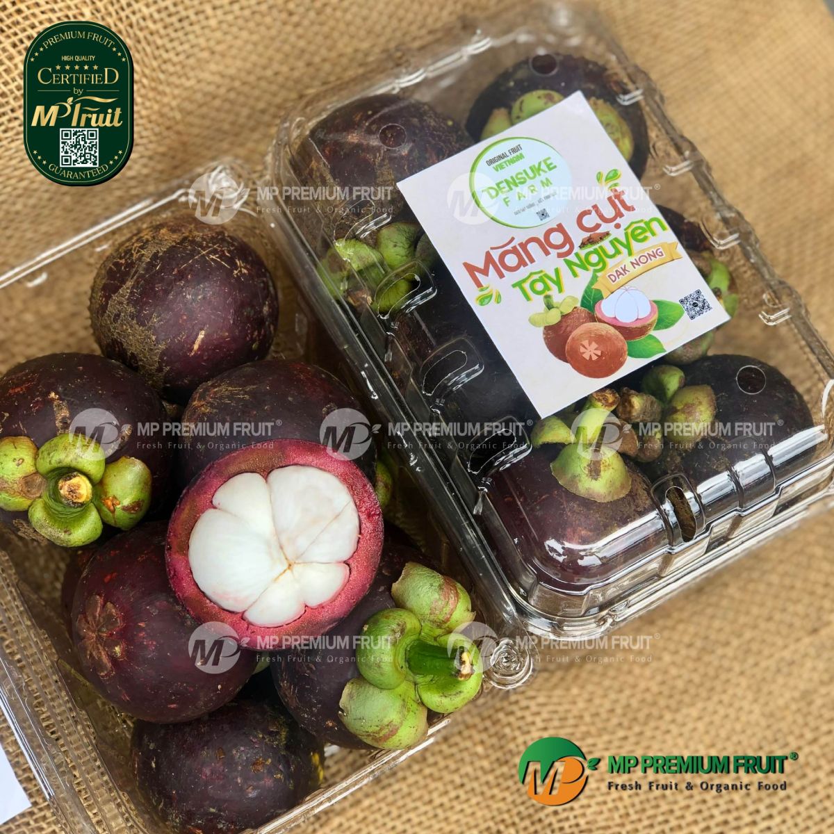 Măng Cụt Tây Nguyên | Densuke Farm tại MP Fruit