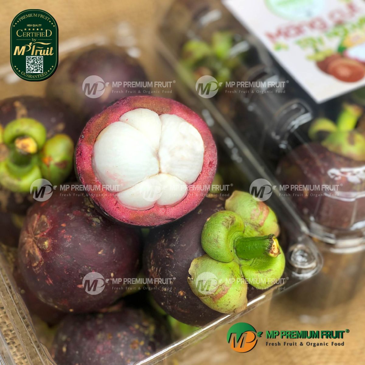Măng Cụt Tây Nguyên | Densuke Farm tại MP Fruit