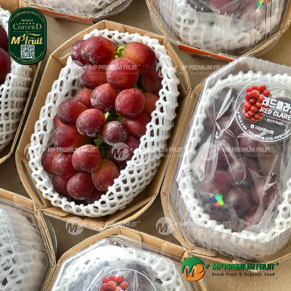 Nho Đỏ Red Claret Hàn Quốc | K-grape tại MP Fruit