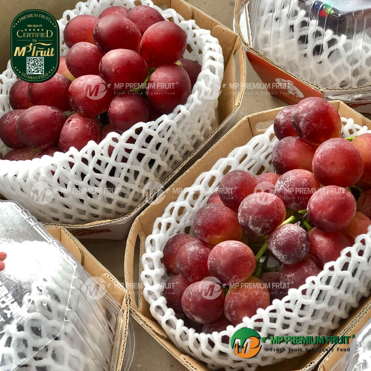 Nho Đỏ Red Claret Hàn Quốc | K-grape tại MP Fruit