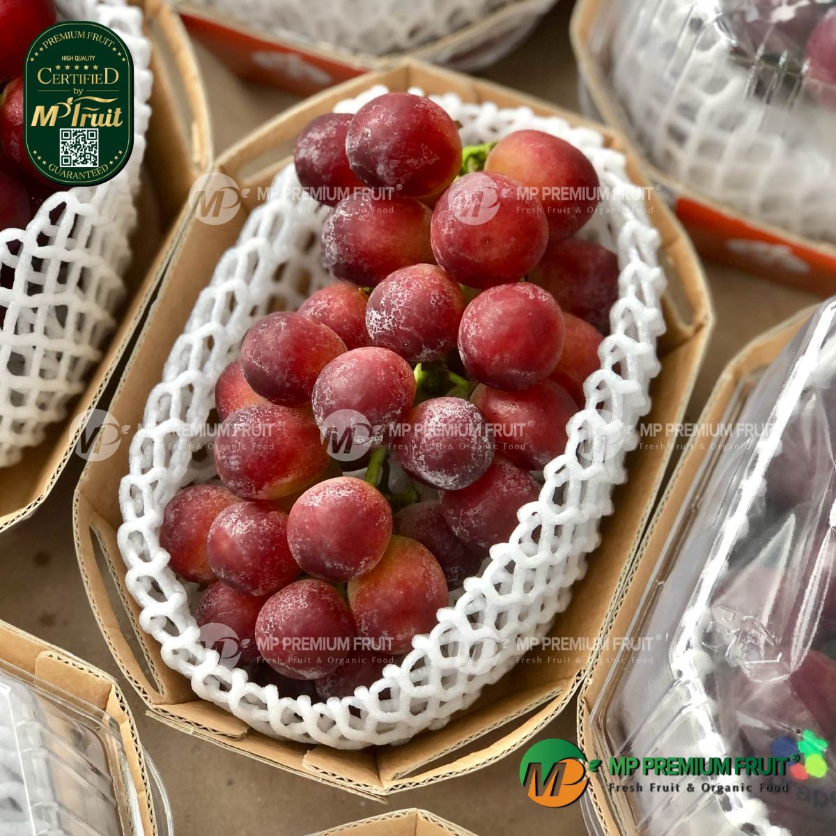 Nho Đỏ Red Claret Hàn Quốc | K-grape tại MP Fruit
