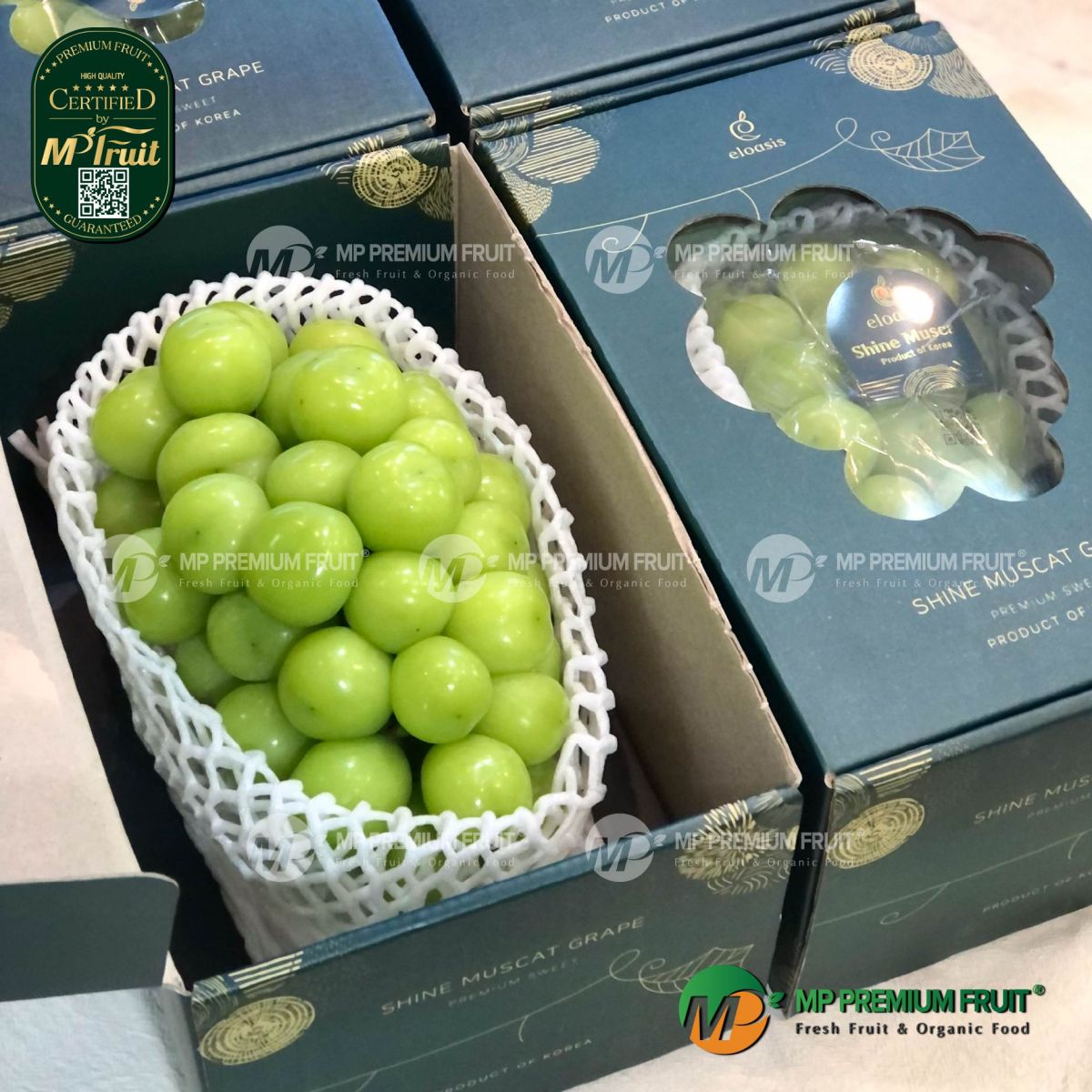 Nho Mẫu Đơn Shine Muscat Eloasis Hàn Quốc Hộp Quà Tặng Chùm 1kg tại MP Fruit