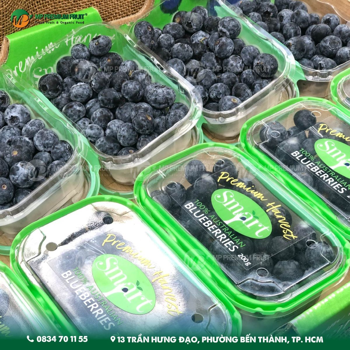 Việt Quất Úc | Smart tại MP Fruit