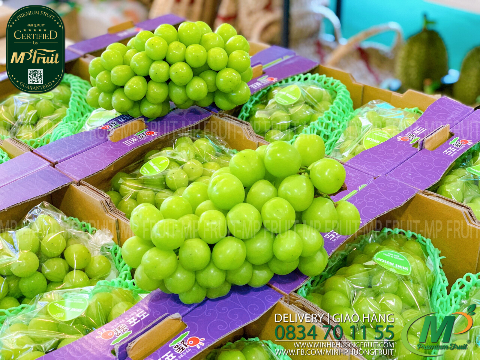 Nho Mẫu Đơn Shine Muscat Hàn Quốc tại MP Fruits