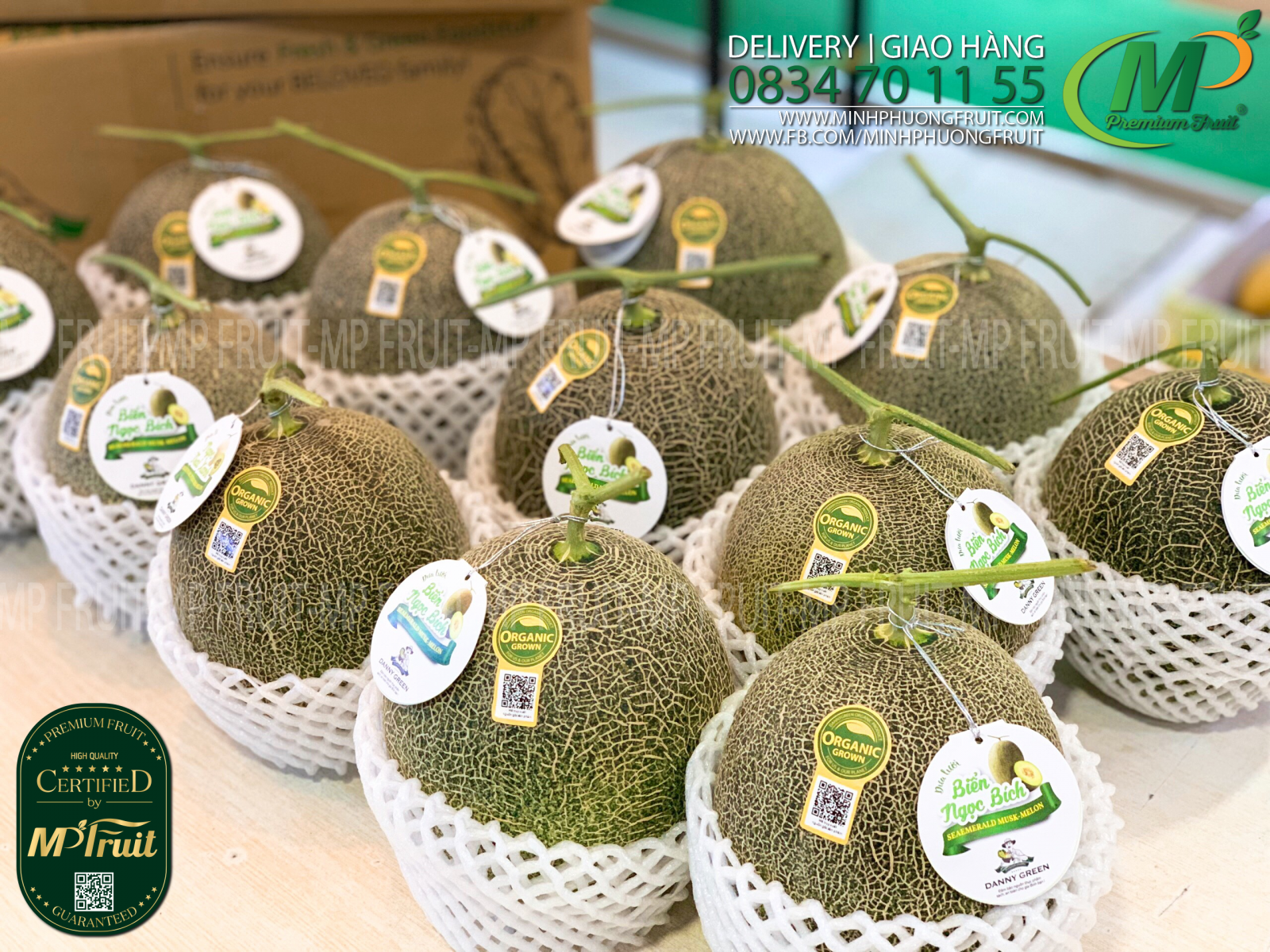 Dưa Lưới Nhật Ichiba Biển Ngọc Bích Organic - SeaEmerald Musk Melon Danny Green tại MP Fruits
