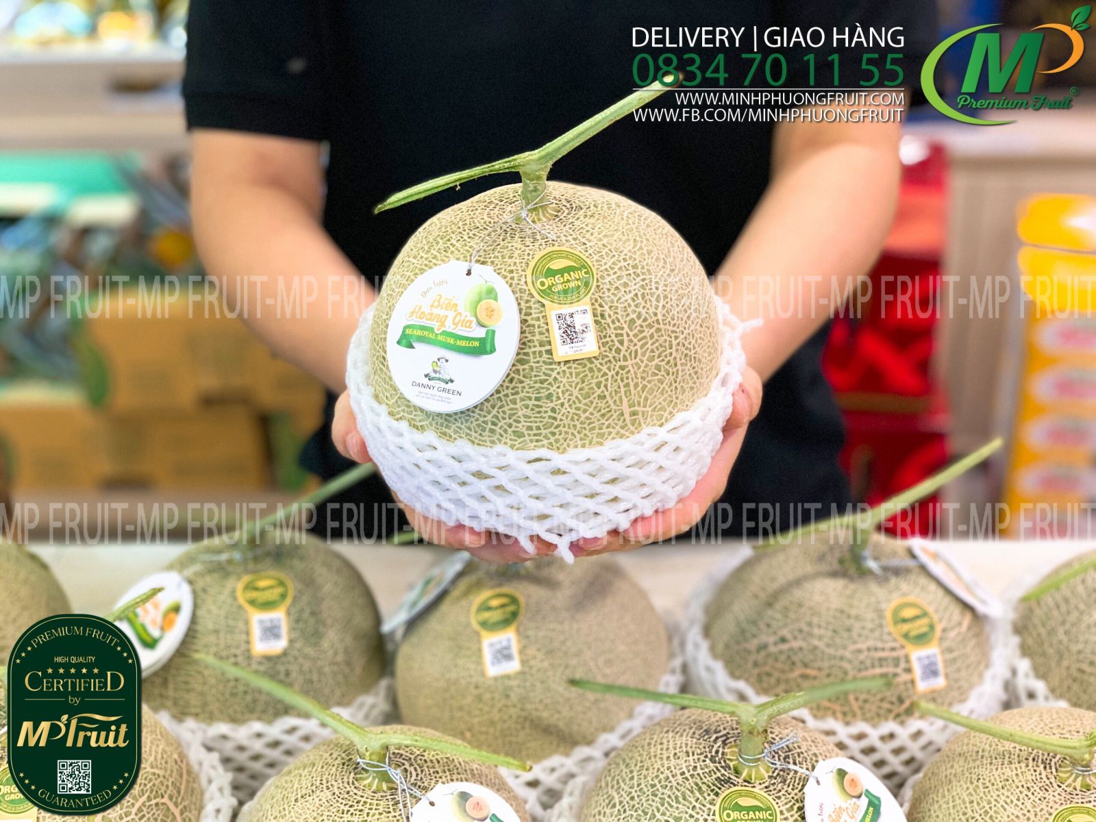 Dưa Lưới Nhật Taki Biển Hoàng Gia Organic - SeaRoyal Musk Melon Danny Green tại MP Fruits