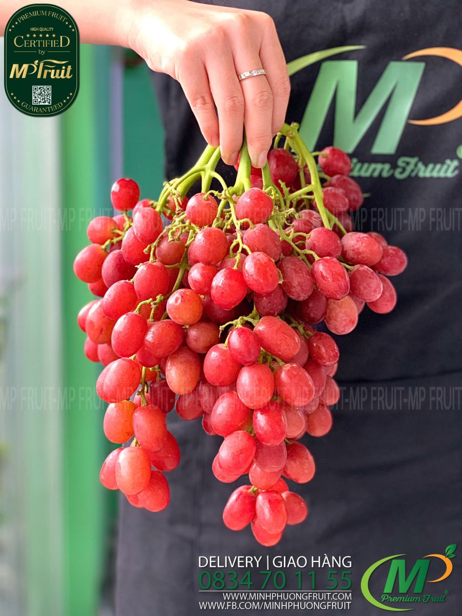 Nho Đỏ Sweet Scarlet Mỹ tại MP Fruits