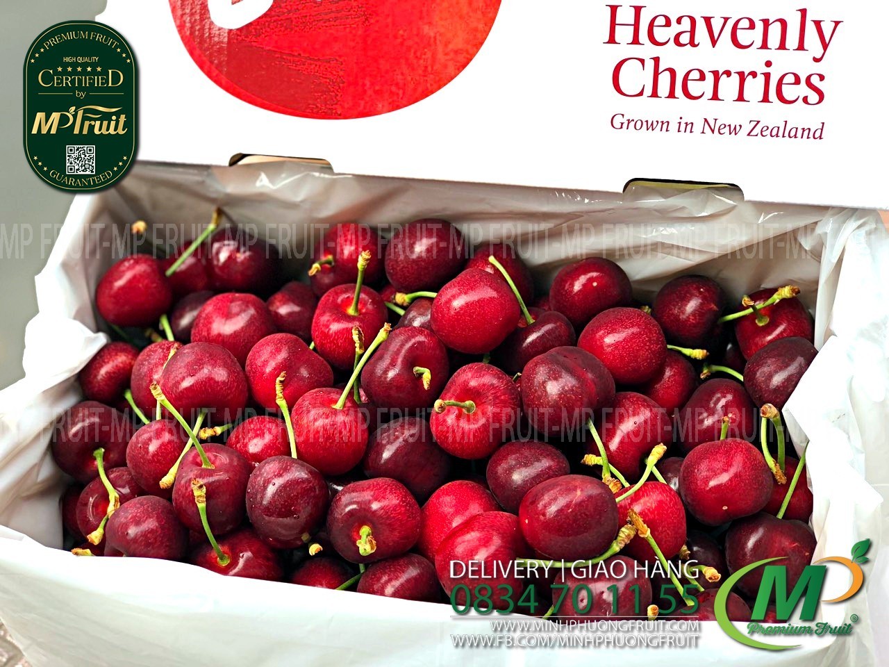 Cherry Đỏ Lani New Zealand Size 32+ tại MP Fruits