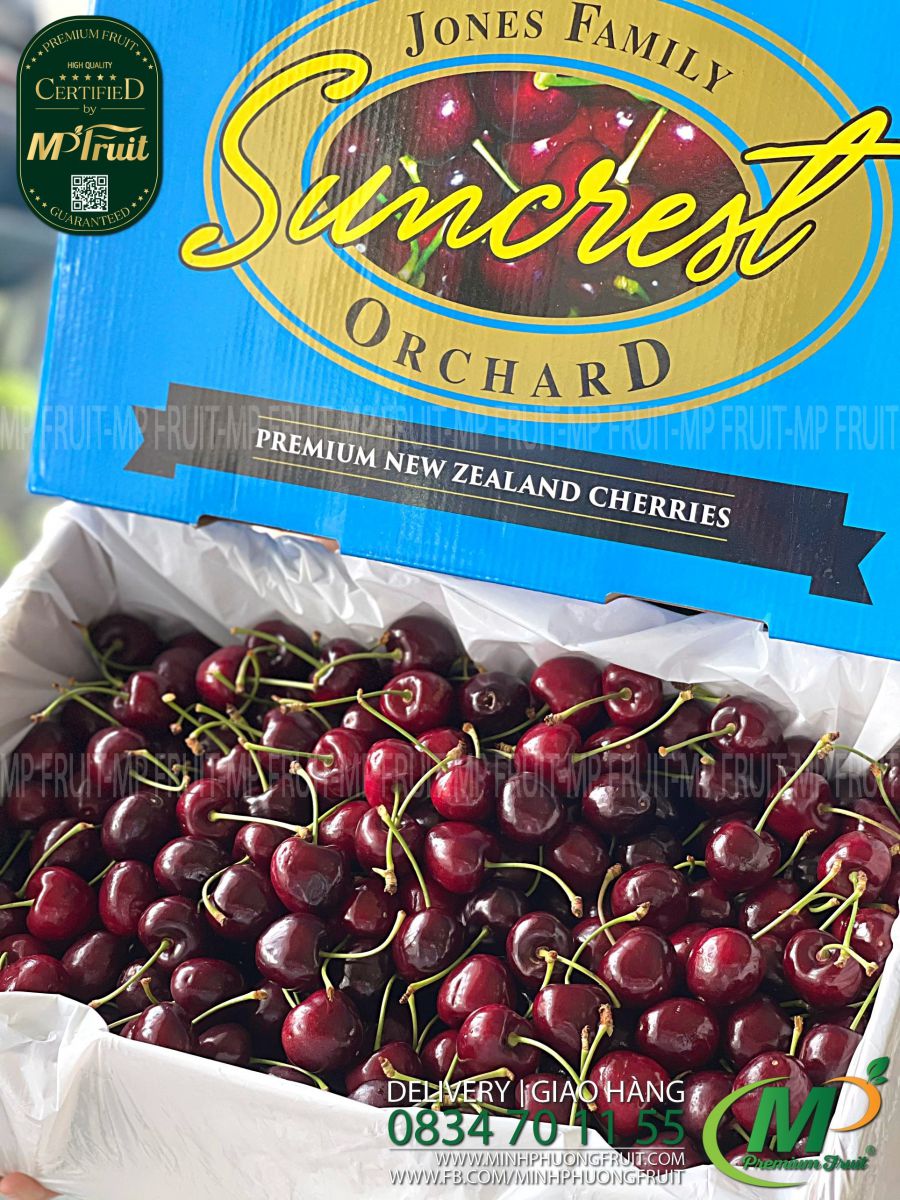 Cherry Đỏ Suncrest New Zealand Size 30+ tại MP Fruits
