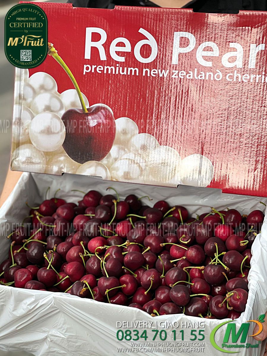 Cherry Đỏ New Zealand Size 28+ Red Pearl tại MP Fruits