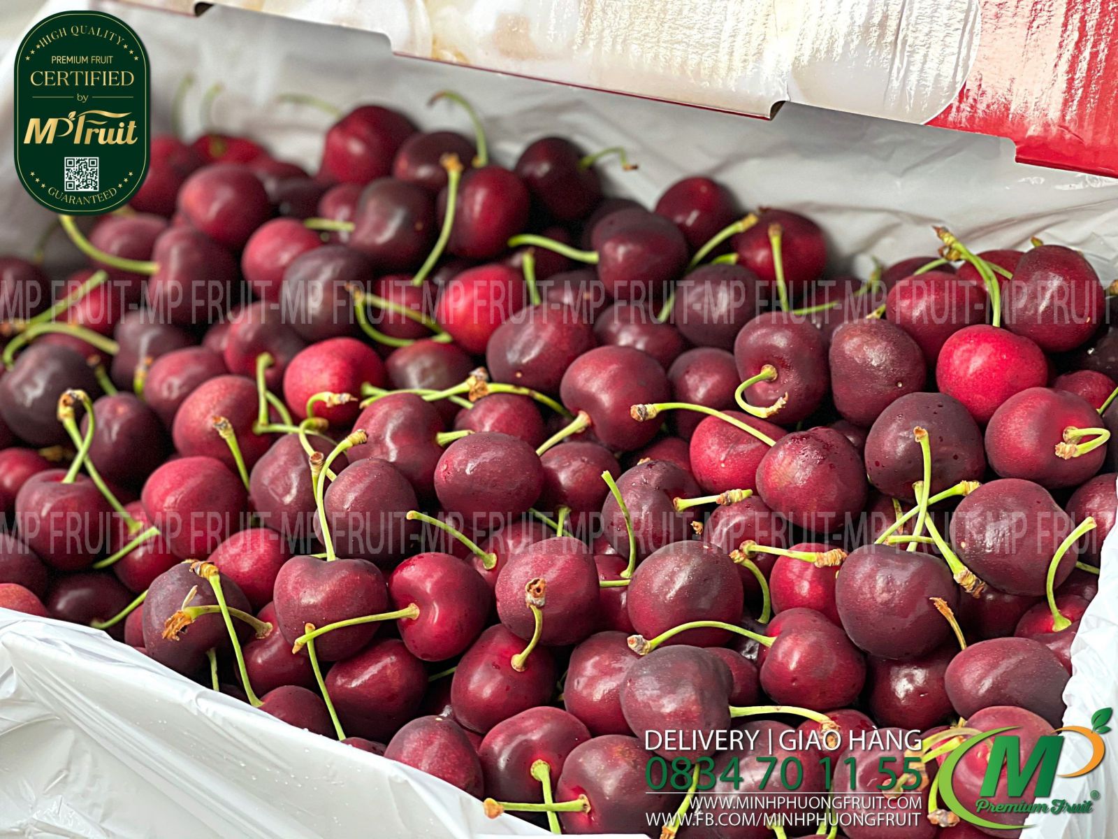 Cherry Đỏ New Zealand Size 28+ Red Pearl tại MP Fruits