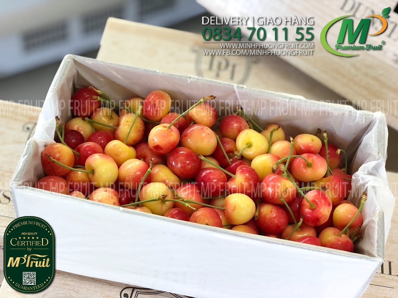 Cherry Vàng New Zealand Size 28+ Dunstan Hill tại MP Fruit