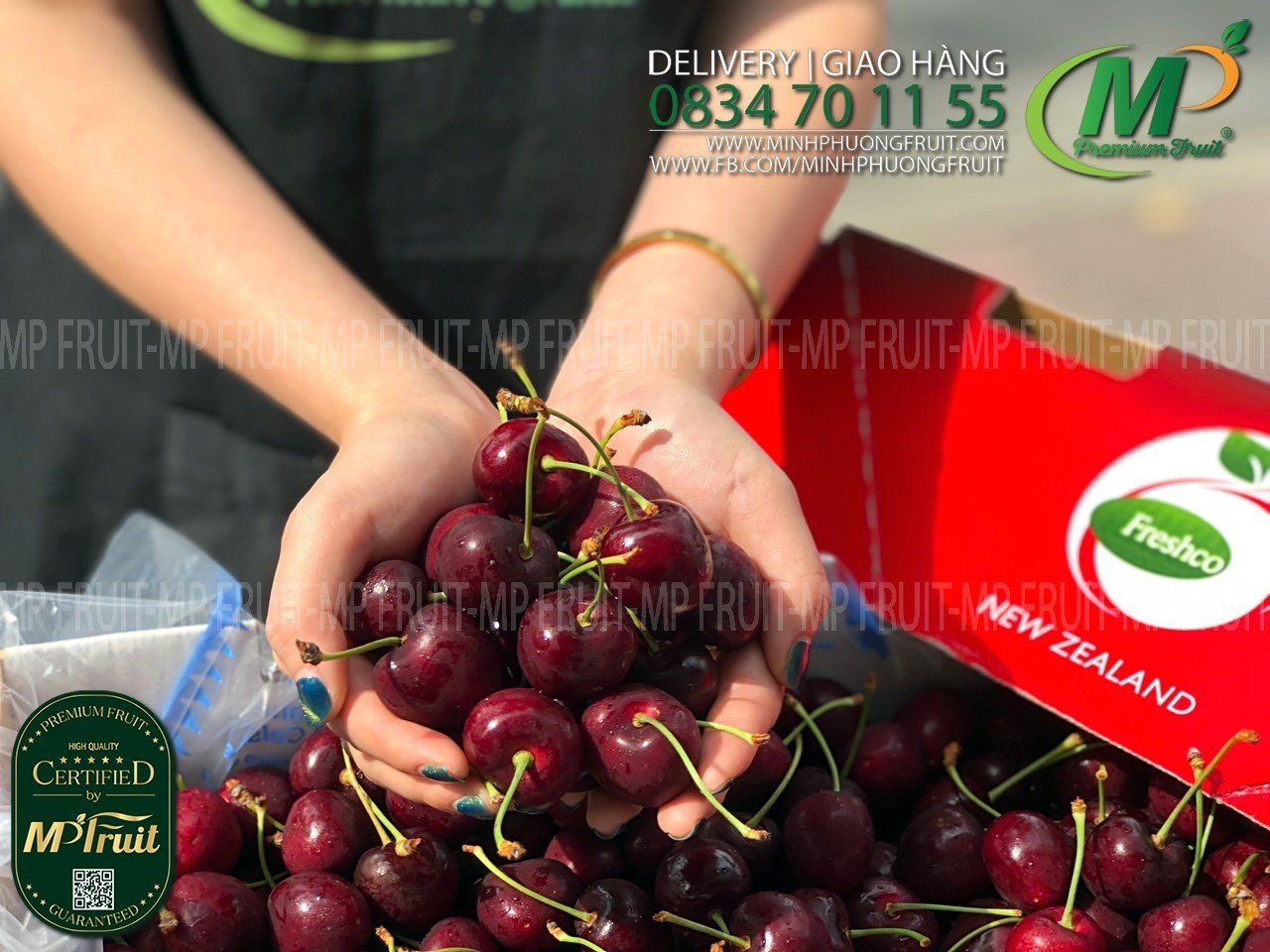 Cherry Đỏ New Zealand Size 28+ | Freshco tại MP Fruits