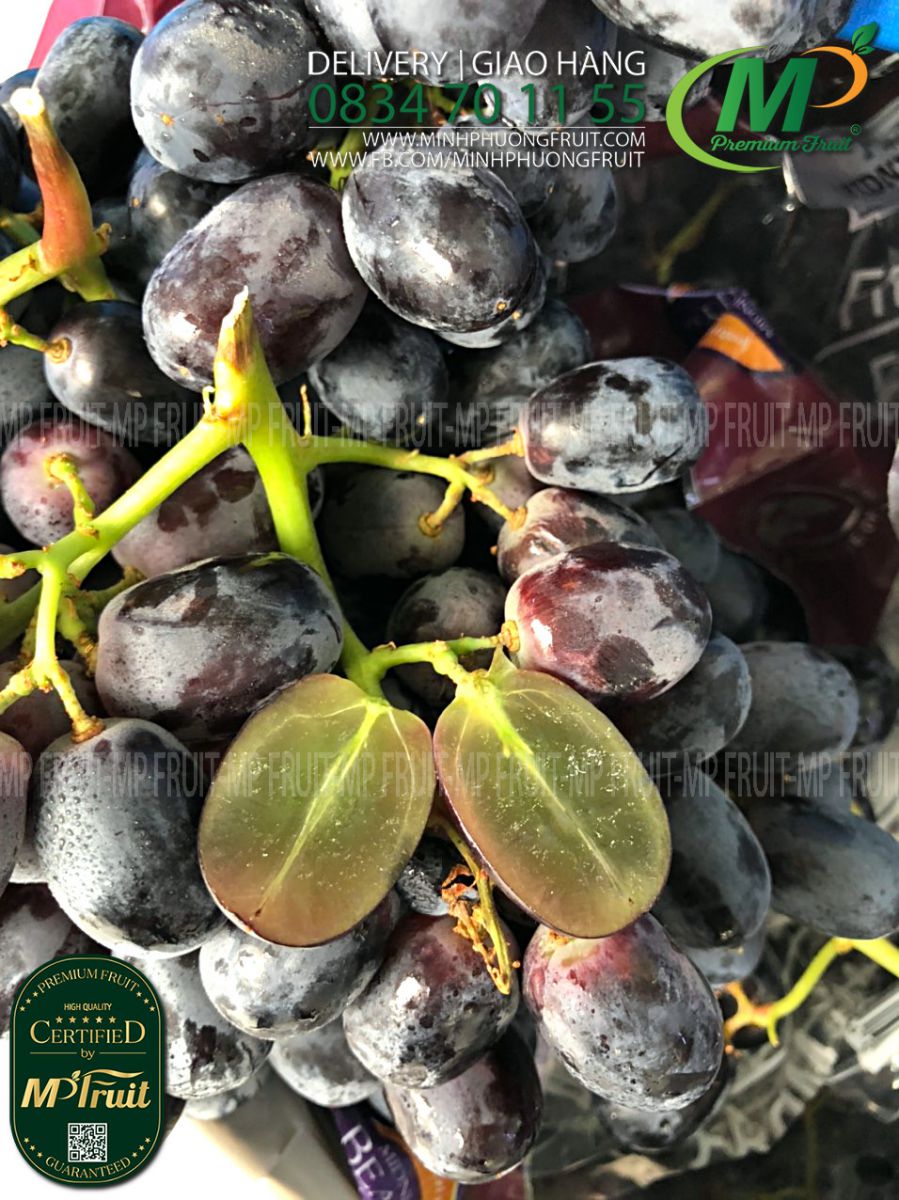 Nho Đen Midnight Beauty Úc | Table Grapes tại MP Fruits
