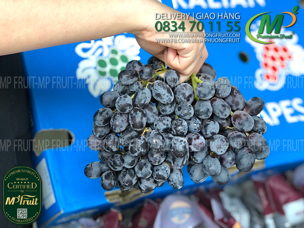 Nho Đen Midnight Beauty Úc | Table Grapes tại MP Fruits