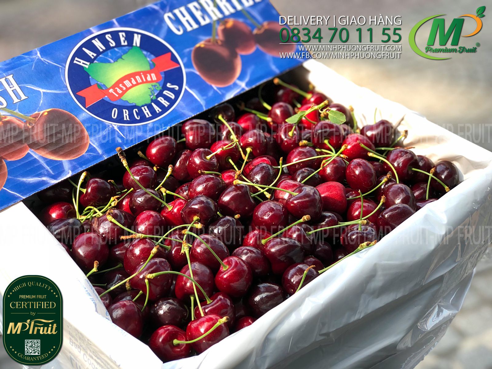 Cherry Đỏ Tasmania Úc Size 28-30 Hansen Orchards tại MP Fruit