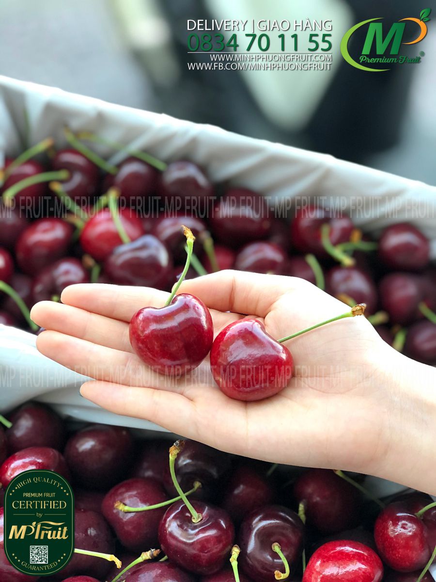 Cherry Đỏ New Zealand Size 32+ Southern Fresh tại MP Fruits