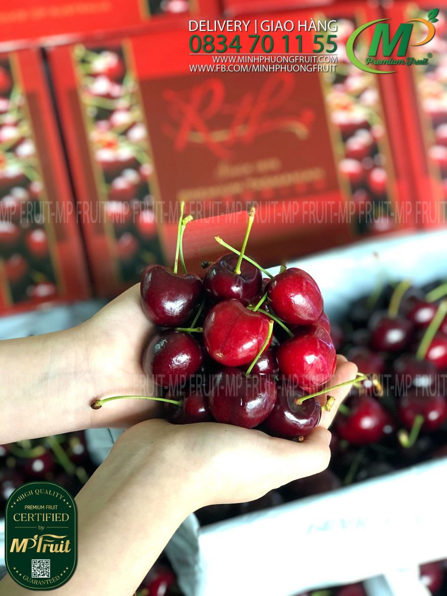Cherry Đỏ Tasmania Size 32-34 RH Since 1878 thương hiệu lâu năm của Úc tại MP Fruit