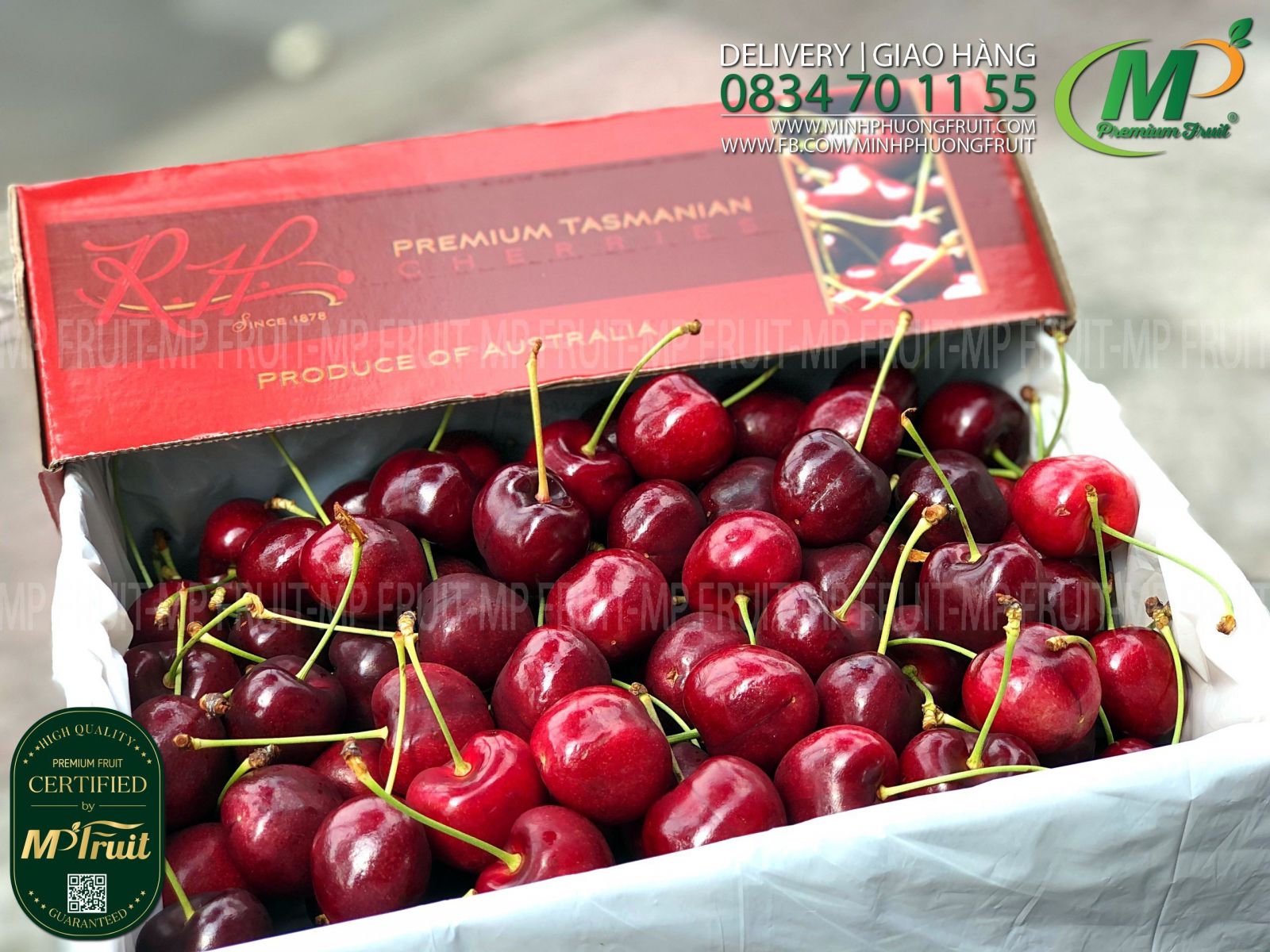 Cherry Đỏ Tasmania Size 32-34 RH Since 1878 - Hộp Quà Tặng 2kg thương hiệu lâu năm của Úc tại MP Fruit