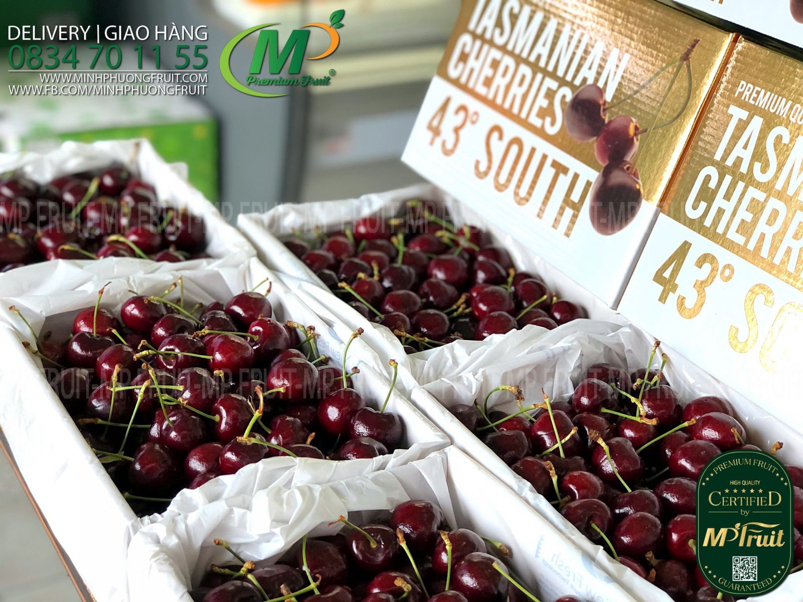 Cherry Đỏ Tasmania Size 32-34 | 43° South - Hộp 2kg thương hiệu uy tín của Úc tại MP Fruit