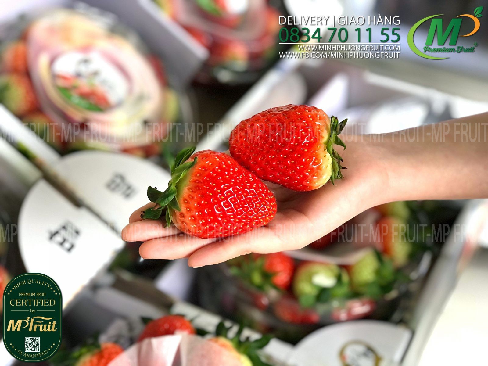 Dâu Tây Premium Hàn Quốc | K Farm - Hộp 500g tại MP Fruit