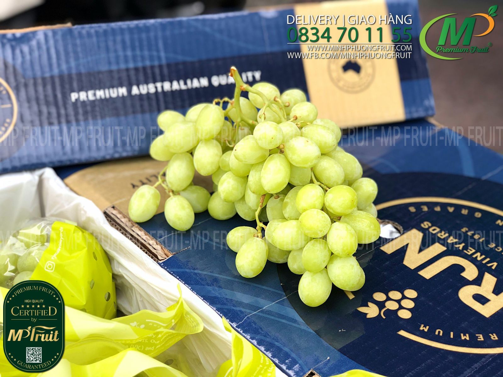 Nho Xanh Sweet Globe Úc | RJN Since 1973 tại MP Fruit