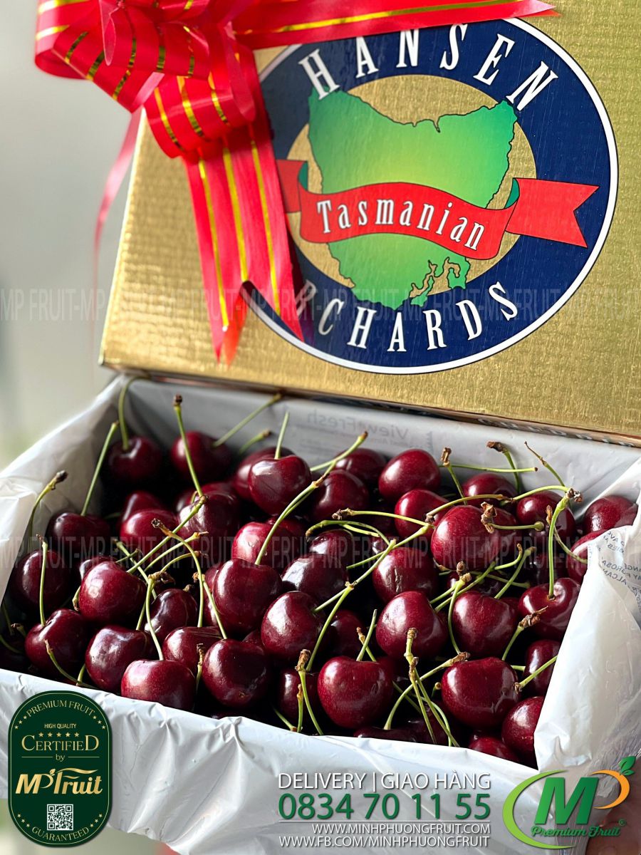 Cherry Đỏ Tasmania Úc Size 32-34 | Hansen Orchards - Hộp 2kg thương hiệu lâu năm của Úc tại MP Fruit