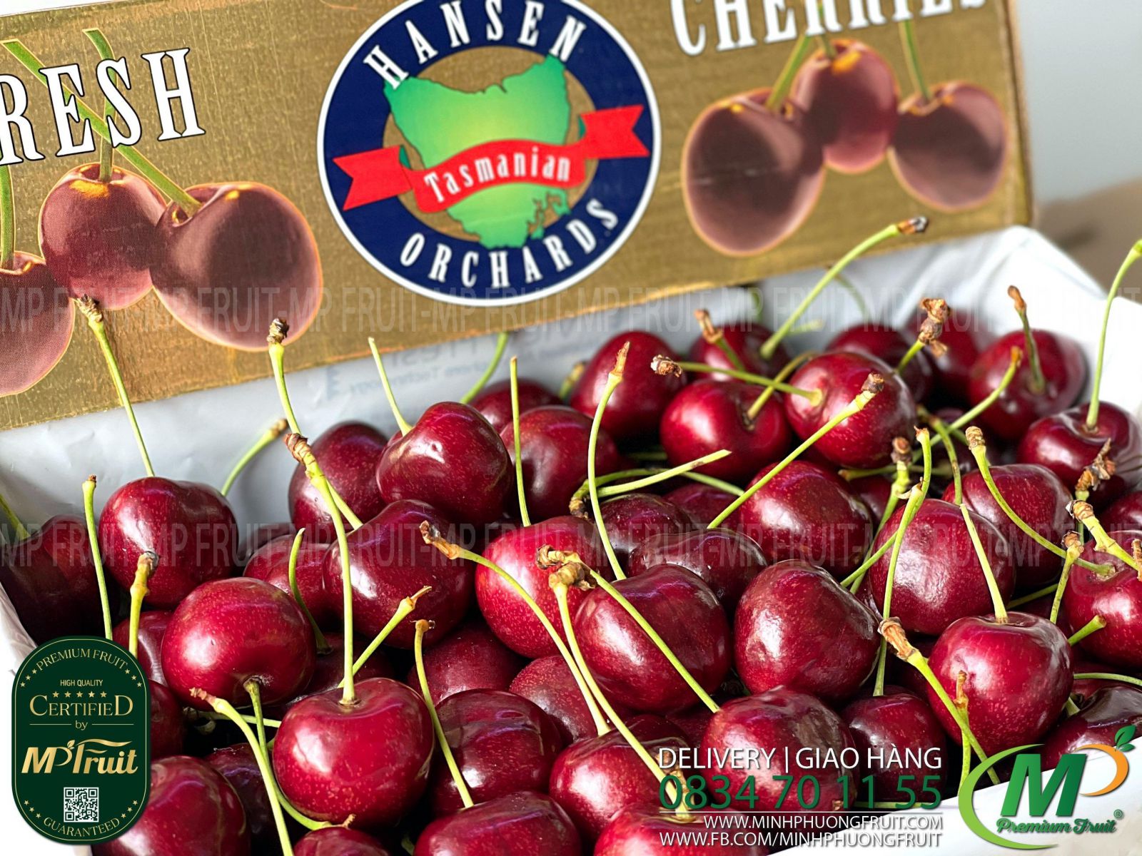Cherry Đỏ Tasmania Size 30-32 | Hansen Orchards thương hiệu lâu năm của Úc tại MP Fruit
