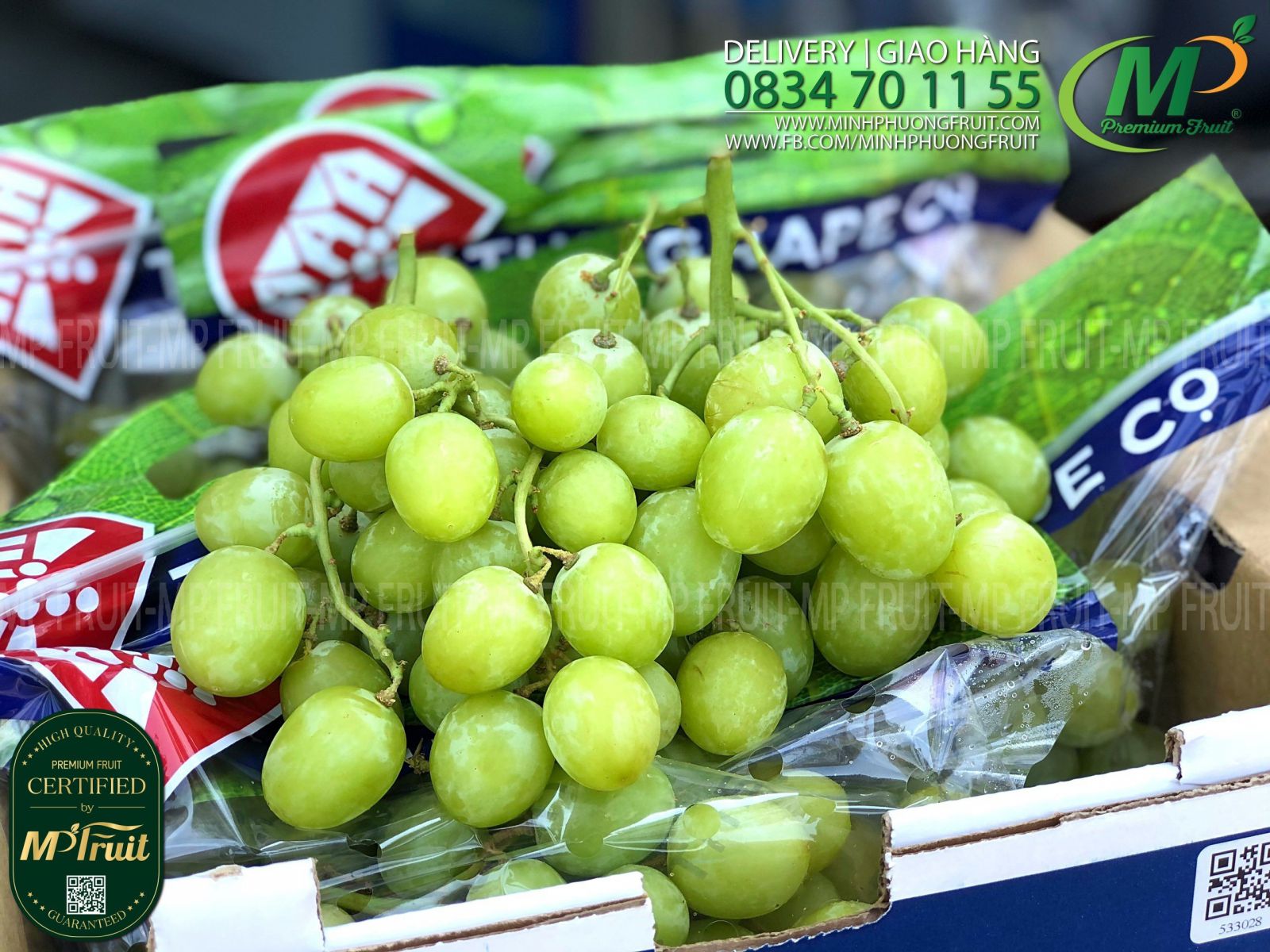 Nho Xanh Autumn Crisp Nam Phi | The Grape Co tại MP Fruits