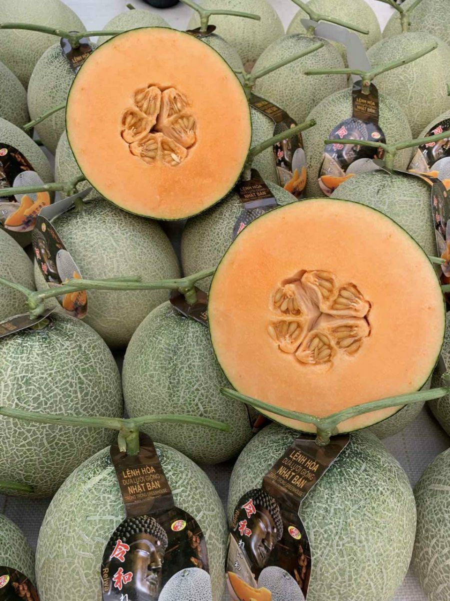 Dưa Lưới Nhật Bản Reiwa (Lệnh Hoà) Melon tại MP Fruits