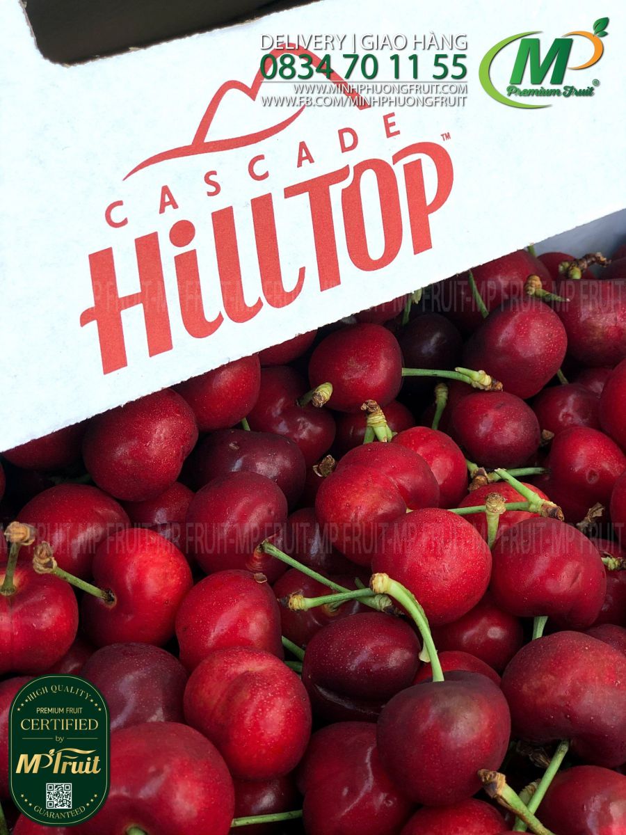 Cherry Đỏ Mỹ Size 9.5 | Hilltop tại MP Fruits