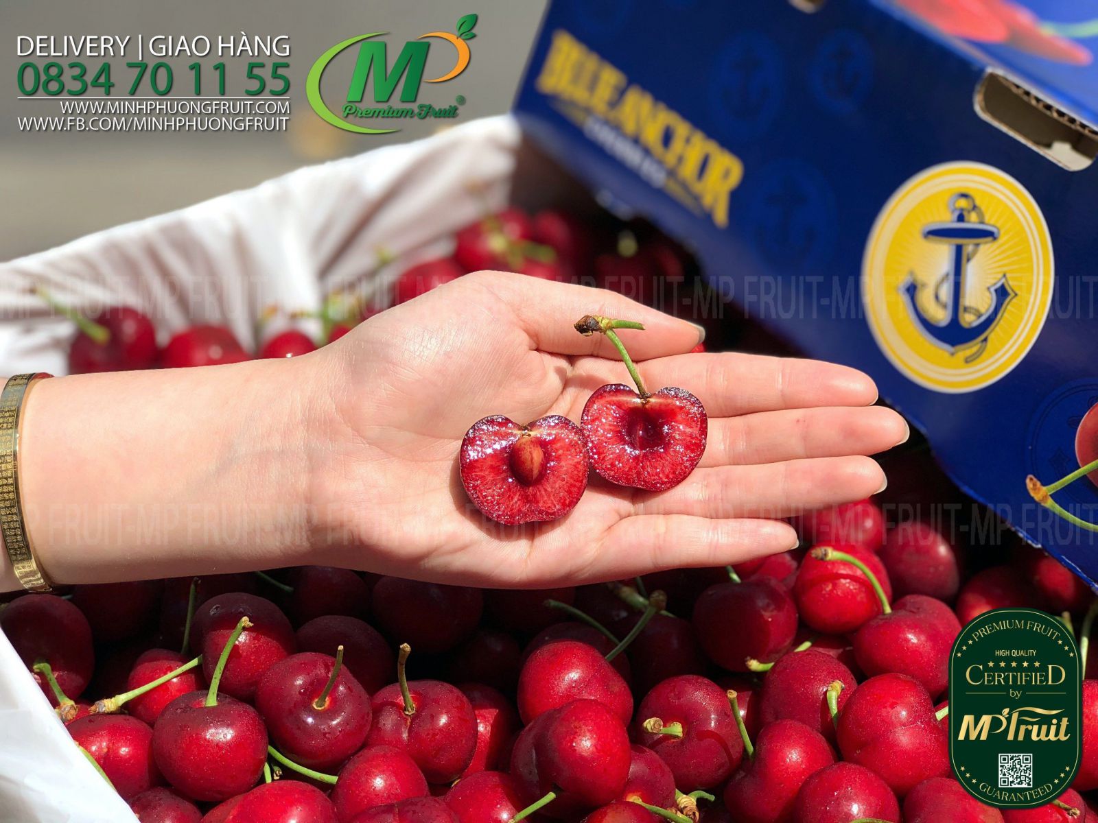 Cherry Đỏ Mỹ Size 9 | Blue Anchor tại MP Fruits