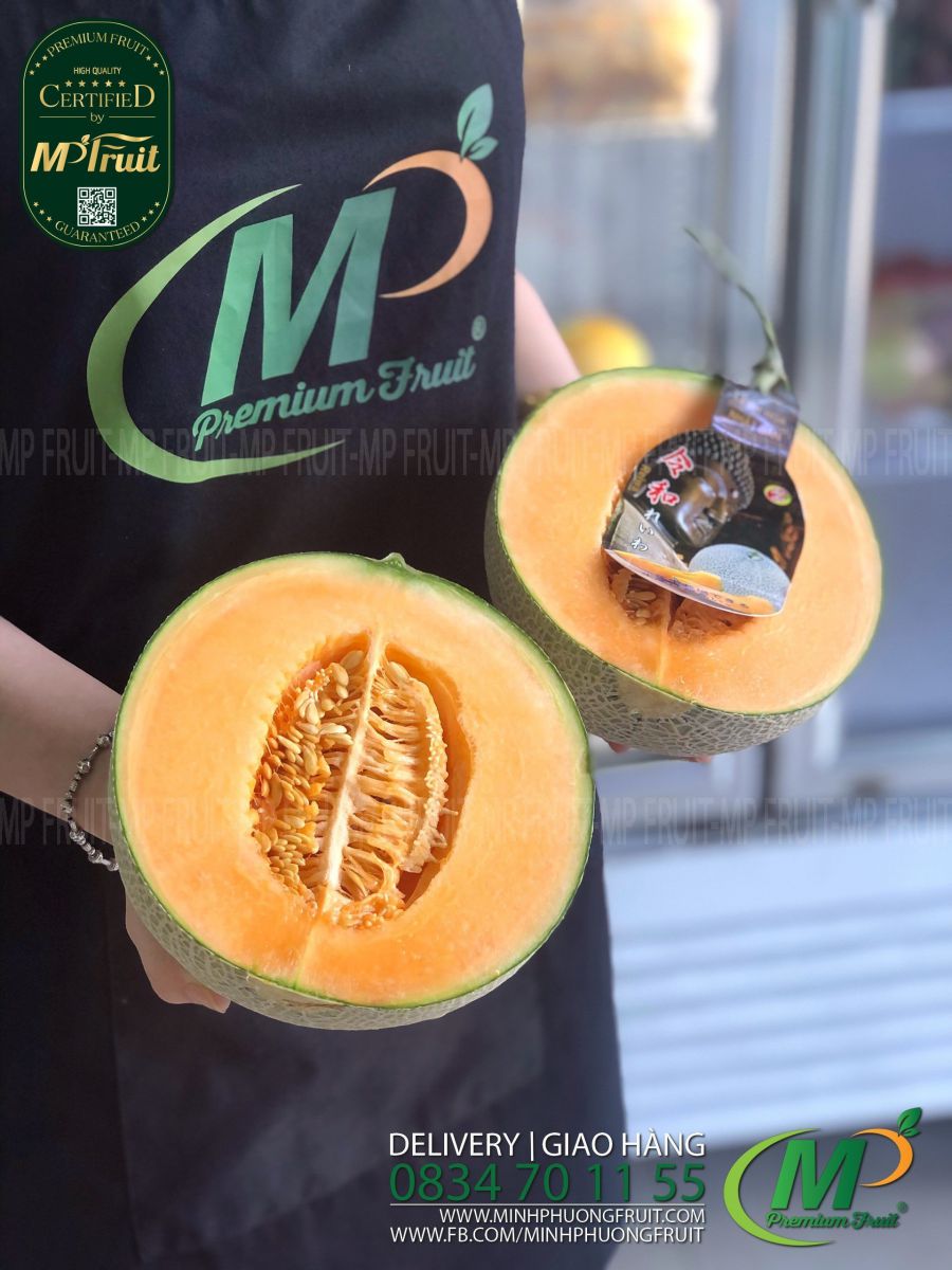Dưa Lưới Nhật Bản Reiwa (Lệnh Hoà) Melon tại MP Fruits