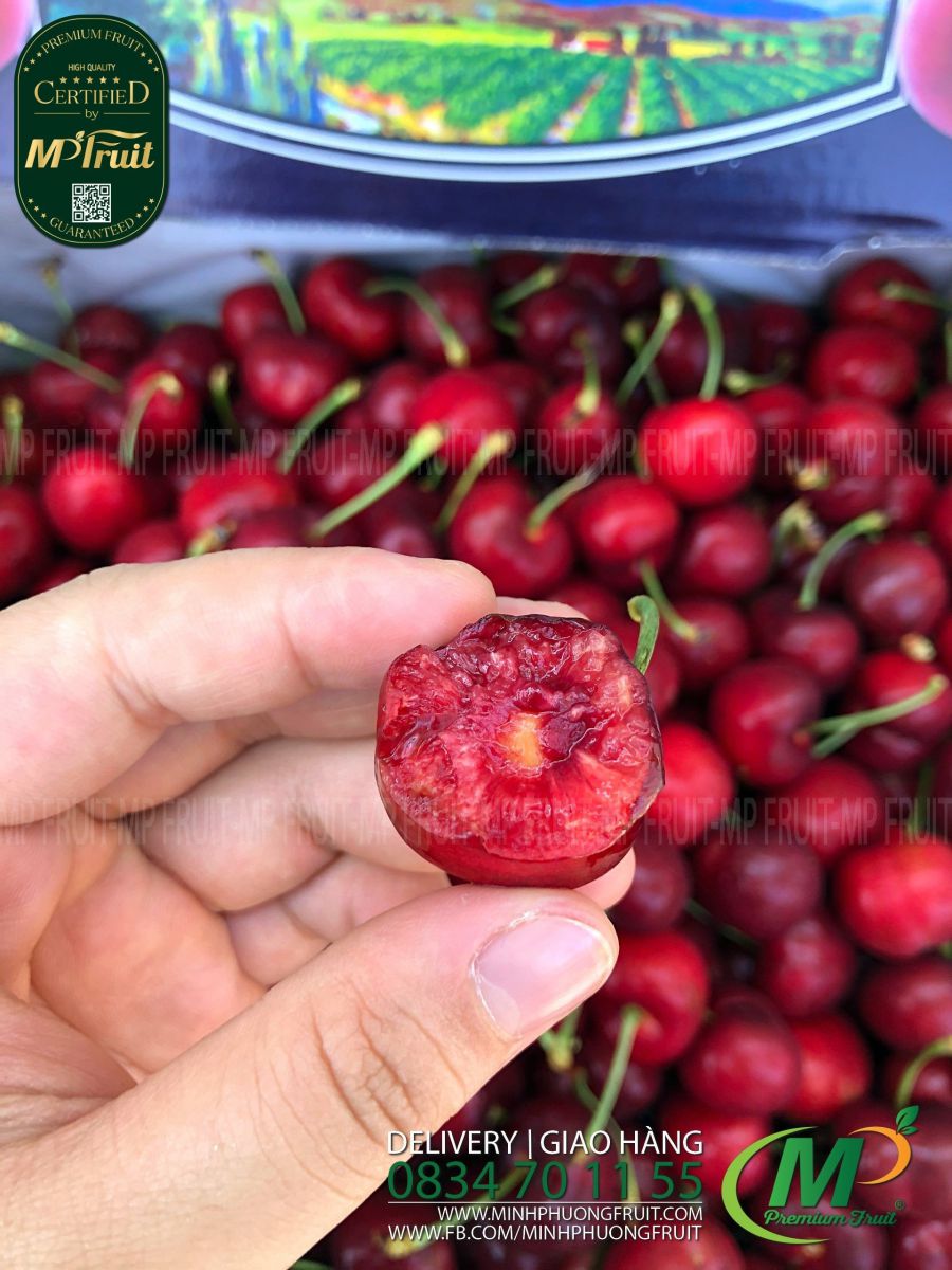 Cherry Đỏ Brookside Mỹ Size 9.5 tại MP Fruits