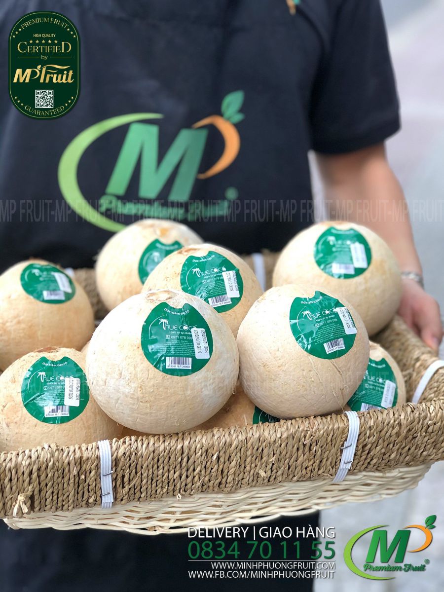 Dừa Xiêm Xanh Bến Tre - Green Siamese Coconut | Truecoco tại MP Fruit