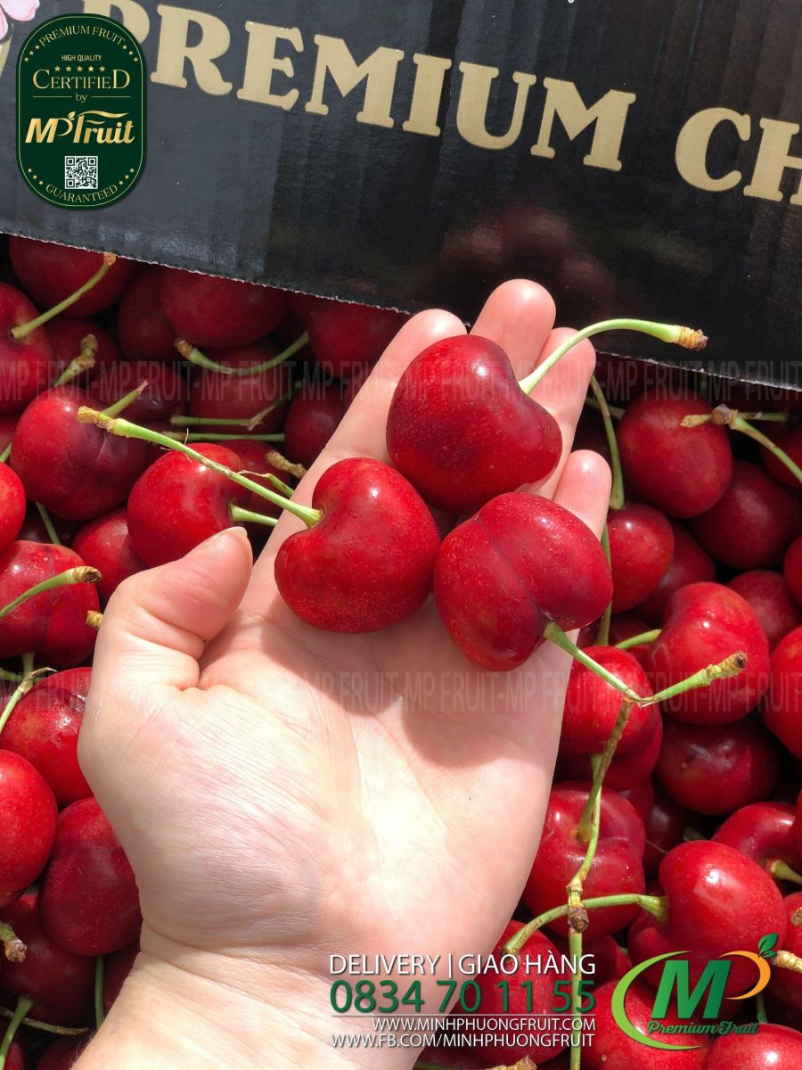 Cherry Đỏ Mỹ Size 8 | Meena tại MP Fruits
